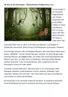 Vorschau - Mal- und Bastelvorlagen - Tiere des Dschungels - Ich lerne und male aus - Seite 2