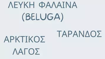 Προεπισκόπηση - Φύλλα εργασίας - Πολικά Ζώα Νηπιαγωγείο - Ζώα στους πάγους (Αρκτική - Ανταρκτική) - Σελίδα 3