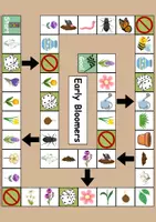 Vorschau - Spiele - Boardgame: Frühblüher / Early Bloomer • Brettspiel Englisch - Seite 1