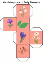 Vorschau - Spiele - Vocabulary cube / Bilderwürfel - Frühblüher / Early Bloomer - Englisch (Spiel / Game) - Seite 2