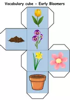 Vorschau - Spiele - Vocabulary cube / Bilderwürfel - Frühblüher / Early Bloomer - Englisch (Spiel / Game) - Seite 3