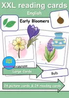 Vorschau - Spiele - XXL Picture-word cards: Frühblüher / Early Bloomer - Englische XXL Bildkarten & Lesekarten - Deckblatt