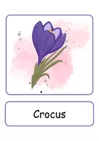 Vorschau - Spiele - XXL Picture-word cards: Frühblüher / Early Bloomer - Englische XXL Bildkarten & Lesekarten - Seite 3