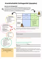 Vorschau - Arbeitsblätter - Grundlagen Schlaganfall - Fallbeispiel & Lernposter - Seite 2