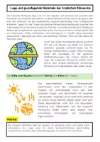 Vorschau - Arbeitsblätter - Klimazone Tropen: Klima, Regenwald, Vegetation - Seite 1