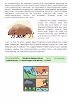 Vorschau - Arbeitsblätter - Klimazone Tropen: Klima, Regenwald, Vegetation - Seite 3