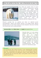 Vorschau - Arbeitsblätter - Polare Zone: Arktis, Antarktis & Eis - Seite 2
