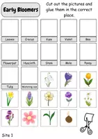 Vorschau - Unterrichtsreihen - Assign images / Bilder zuordnen: Frühblüher / Early Bloomer - Englisch - Seite 2