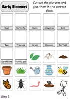 Vorschau - Unterrichtsreihen - Assign images / Bilder zuordnen: Frühblüher / Early Bloomer - Englisch - Seite 3