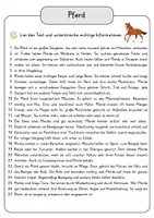 Vorschau - Arbeitsblätter - Pferd Lesetext mit Fragen + Lösungen Leseverstehen Wortspeicher didaktische Reserve Lesen Leseverständnis - Seite 3