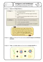 Vorschau - Arbeitsblätter - Immunsystem: Antigene und Antikörper mit Schlüssel-Schloss-Prinzip - Deckblatt