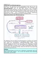 Vorschau - Arbeitsblätter - Einführung in die Milchsäuregärung - Deckblatt