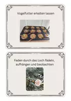Vorschau - Fördermaterial/Inklusion - Anleitung- Rezept: Rezeptkarten für Vogelfutter - Seite 3