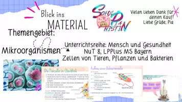 Vorschau - Präsentationen/Tafelbilder - UE: Zellen von Tieren, Pflanzen und Bakterien - Deckblatt