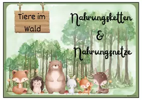 Vorschau - Fördermaterial/Inklusion - Nahrungsketten und Nahrungsbeziehungen im Wald - Seite 3