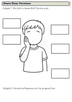 Vorschau - Arbeitsblätter - Sinne im Sachunterricht: Arbeitsblätter, Stationen, Bilder - Seite 1