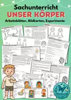Vorschau - Unterrichtsreihen - Der menschliche Körper und die Gesundheit, Arbeitsblätter, Stationen, Bilder - Deckblatt