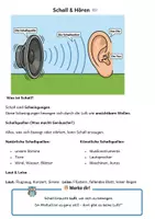 Vorschau - Arbeitsblätter - Schall & Hören – Mein Lern‑ und Arbeitsheft (DaF/DaZ, Grundschule) - Seite 3