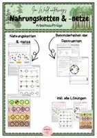 Vorschau - Arbeitsblätter - Nahrungsketten und Nahrungsnetze: Mini-Materialpaket - Seite 1