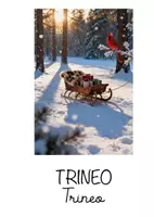 Vista previa - Decoración del aula - FLASHCARDS INVIERNO - página 2