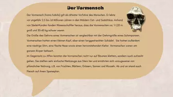 Vorschau - Stundenentwürfe - Vom Vormenschen zum Jetztmenschen - Entwicklung des Menschen - Lerntexte & Tabelle (Geschichte, Klasse 5/6) - Seite 1