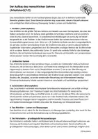 Vorschau - Arbeitsblätter - Aufbau des Gehirns Gedächtnis Lernen Neurobiologie - Seite 1