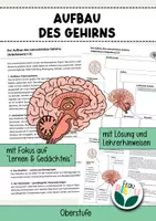 Vorschau - Arbeitsblätter - Aufbau des Gehirns Gedächtnis Lernen Neurobiologie - Deckblatt