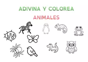 Vista previa - Juegos / Gamificación - Adivina y colorea. Lectura divertida. - Portada
