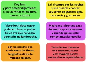 Vista previa - Juegos / Gamificación - Adivina y colorea. Lectura divertida. - página 3