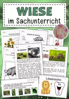 Vorschau - Arbeitsblätter - Wiese im Sachunterricht - Deckblatt