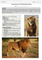 Vorschau - Klassenarbeiten - Klassenarbeit zum Thema "Tierbeschreibung" inkl. EWH (Löwe) - Seite 1