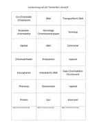 Vorschau - Arbeitsblätter - Reaktivierung grundlegender Fachbegriffe Genetik (EF) - Seite 3