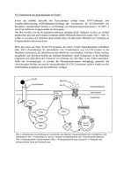 Vorschau - Arbeitsblätter - Insulin Signalkaskade - Seite 3