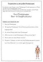 Vorschau - Arbeitsblätter - Gruppenarbeit zu den Muskelgruppen - Seite 2