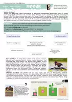 Vorschau - Stundenentwürfe - Taiga 2: Skatchnote erstellen borealer Nadelwald & Moore - Seite 2