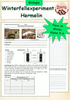 Vorschau - Arbeitsblätter - Winterfellexperiment Hermelin Biologie Klasse 5 - Deckblatt