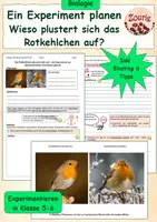 Vorschau - Stundenentwürfe - Wieso plustert sich das Rotkehlchen auf? - ein Experiment planen - Deckblatt