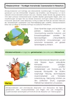 Vorschau - Arbeitsblätter - Klimakonventionen und Verträge: Globaler & Klimaschutz - Seite 1
