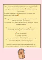Vista previa - Juegos / Gamificación - 🦫💖 Las capibaras de los corazones – Gestión de aula 💖🦫 - página 2