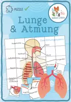 Vorschau - Spiele - Lunge und Atmung – Puzzle - Deckblatt