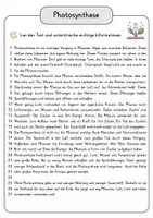 Vorschau - Arbeitsblätter - Photosynthese Lesetext mit Fragen + Lösungen Leseverstehen Wortspeicher didaktische Reserve Lesen Leseverständnis - Seite 3