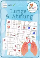 Vorschau - Spiele - Lunge und Atmung - Bingo - Deckblatt
