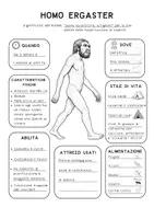 anteprima - Esercizi - 📘 HOMO ERGASTER – Mappa concettuale - Pagina 2