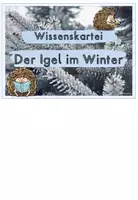 Vorschau - Arbeitsblätter - Tiere im Winter: Der Igel (Wissenskartei & Arbeitsblätter) - Seite 1