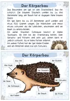 Vorschau - Arbeitsblätter - Tiere im Winter: Der Igel (Wissenskartei & Arbeitsblätter) - Seite 3