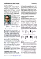 Vorschau - Arbeitsblätter - Stammbaumanalyse – Marfan-Syndrom & Phenylketonurie - Seite 2
