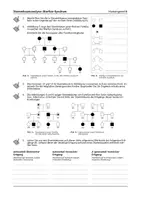 Vorschau - Arbeitsblätter - Stammbaumanalyse – Marfan-Syndrom & Phenylketonurie - Seite 3