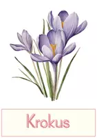Vorschau - Präsentationen/Tafelbilder - Tafelbilder zum Frühling - Seite 3