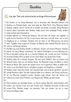 Vorschau - Arbeitsblätter - Quokka Lesetext mit Fragen + Lösungen Leseverstehen Wortspeicher didaktische Reserve Lesen Leseverständnis - Seite 3