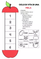 anteprima - Materiale di supporto/inclusione - La pianta, il fiore e il frutto (schede facilitate) - Pagina 3